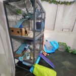 Ferret cage and supplies