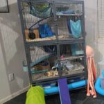 Ferret cage and supplies