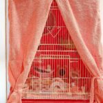 Sugar gliders cage and supplies